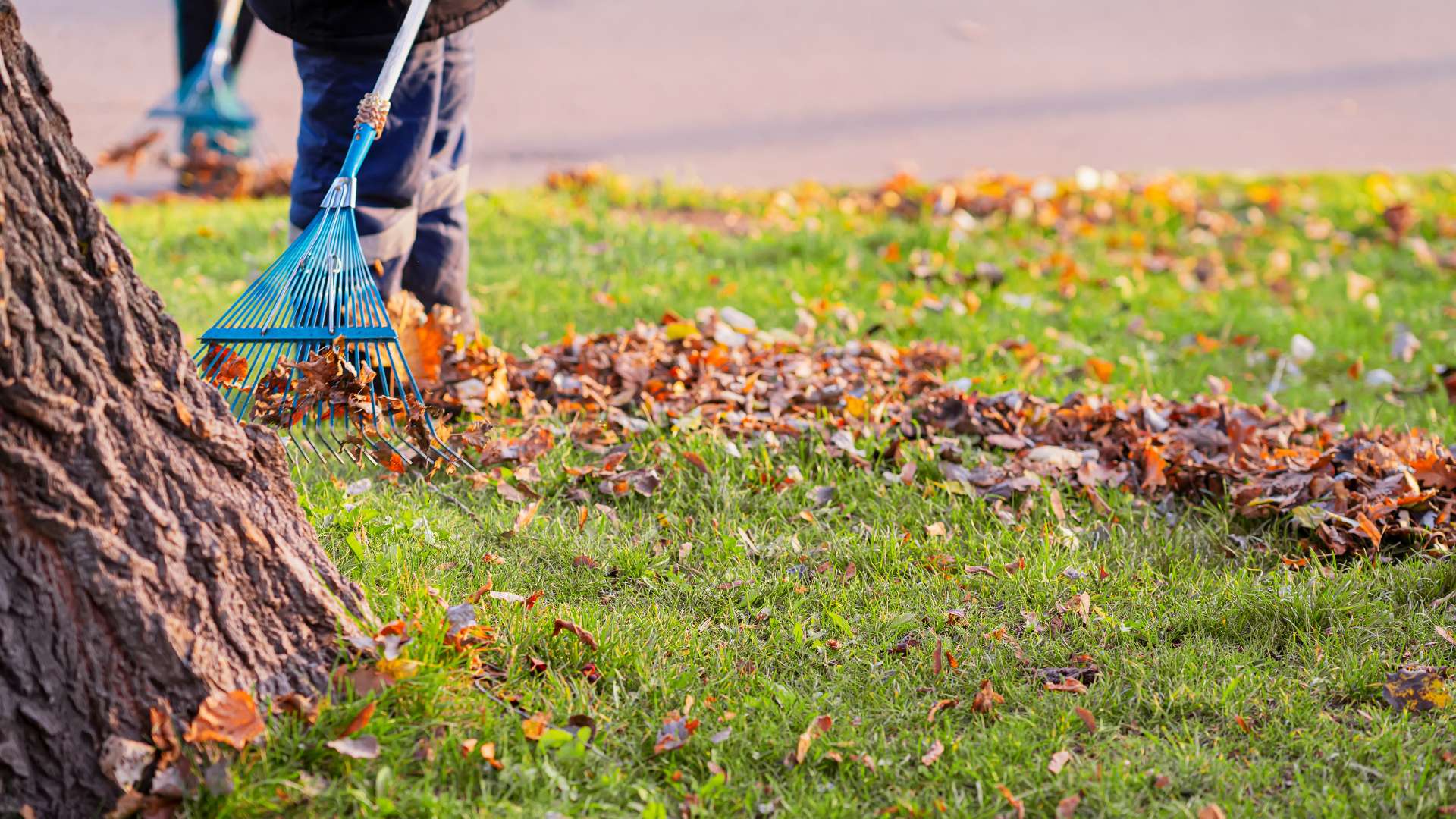 Residential Pest Control