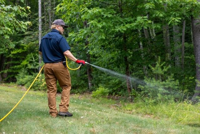 Residential Pest Control
